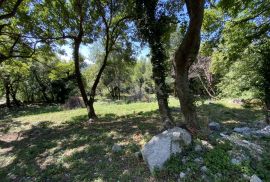 GRIŽANE- odličan građevinski teren uz cestu veličine 1000m2, Vinodolska Općina, Land