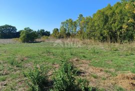 ISTRA, PULA Građevinsko zemljište u Valdebeku 6100 m2, Pula, Land