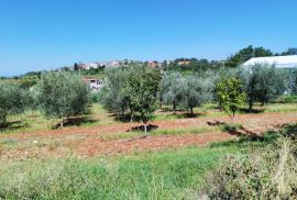 ISTRA, VIŽINADA -Prostrano građevinsko zemljište sa pogledom na MORE!, Vižinada, Земля