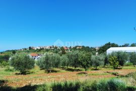 ISTRA, VIŽINADA -Prostrano građevinsko zemljište sa pogledom na MORE!, Vižinada, Земля