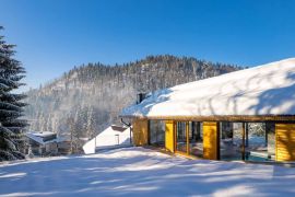 GORSKI KOTAR, TRŠĆE - Luksuzna vila s bazenom u srcu prirode, Čabar, House