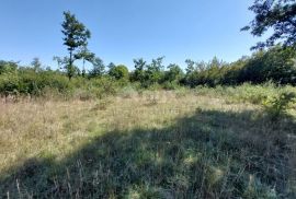 ISTRA, BARBAN - Građevinsko zemljište od 784 m2, Barban, Land