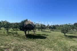 ISTRA, RAKALJ - Građevinsko zemljište u blizini mora, Marčana, Land