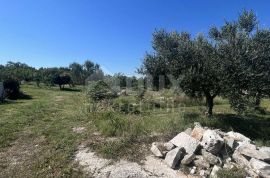 ISTRA, RAKALJ - Građevinsko zemljište u blizini mora, Marčana, Land