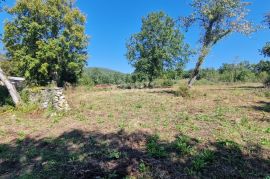 ISTRA, OPRTALJ - Veliko građevinsko zemljište s kamenom ruševinom i pogledom, Oprtalj, Land