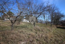 Cerovlje, okolica, zemljište sa starinom okruženo prirodom, Cerovlje, Land