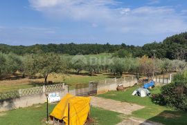 ISTRA, POREČ - Obiteljska kuća s potencijalom, Poreč, Haus