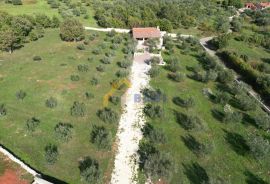 RIJETKOST NA TRŽIŠTU STANCIJA SA PANORAMSKIM POGLEDOM!, Marčana, Casa