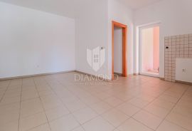 Novigrad, okolica! Simpatičan studio apartmanu prizemlju!, Novigrad, Stan