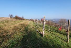 ISTRA, MOTOVUN, KAŠĆERGA - Građevinsko zemljište s građevinskom dozvolom, panoramski pogled!, Pazin - Okolica, Zemljište