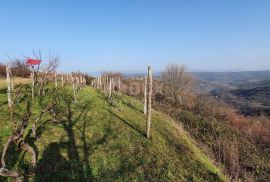 ISTRA, MOTOVUN, KAŠĆERGA - Građevinsko zemljište s građevinskom dozvolom, panoramski pogled!, Pazin - Okolica, Zemljište