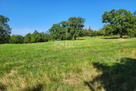 ISTRA, BUZET - Građevinsko zemljište u blizini centra, Buzet, Γη