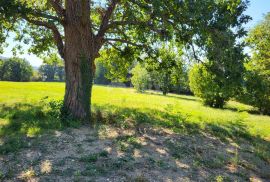 ISTRA, BUZET - Građevinsko zemljište u blizini centra, Buzet, Terra