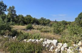 ISTRA, SVETVINČENAT - Građevinsko zemljište na rubu naselja, Svetvinčenat, Land