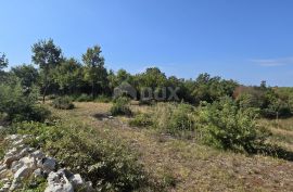 ISTRA, SVETVINČENAT - Građevinsko zemljište na rubu naselja, Svetvinčenat, Land