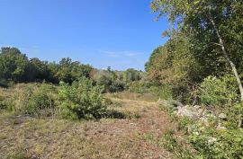 ISTRA, SVETVINČENAT - Građevinsko zemljište na rubu naselja, Svetvinčenat, Land