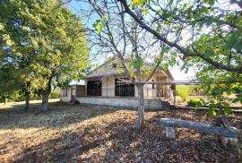 ISTRA, POREČ - Samostojeća prizemnica na mirnoj lokaciji, Poreč, House