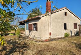 ISTRA, POREČ - Samostojeća prizemnica na mirnoj lokaciji, Poreč, House