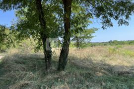 Povoljno Istra Pazin građevinsko zemljište 1900 m2!, Pazin - Okolica, Zemljište