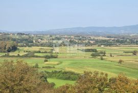 Katnica u Kraju Gornjem, Dubravica, Famiglia