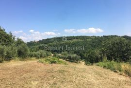 BUJE - MOMJAN, starina sa zemljištem površine 16.691 m2, Buje, Casa