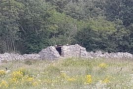 Poljoprivredno zemljište Prodaje se poljoprivredno zemljište Rovinj, Rovinj, Zemljište