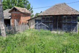 Obrenovac - Dren - imanje 2,8ha ID#22454, Obrenovac, Terreno