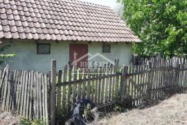 Obrenovac - Dren - imanje 2,8ha ID#22454, Obrenovac, Terreno