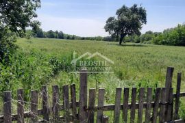 Obrenovac - Dren - imanje 2,8ha ID#22454, Obrenovac, Terreno