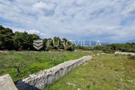 Brač, Pučišća, kuća prizemnica s velikim maslinikom od 8300 m2, Pučišća, Famiglia