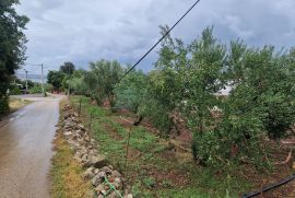 PRODAJA građevinsko zemljište, 507 m2, otok Pašman, Pašman, بيت