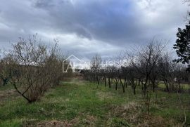 Istra, Kršan - prostrano građevinsko zemljište s lijepim pogledom na Učku, Kršan, Arazi