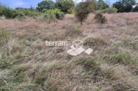 Istra, Medulin građevinsko i poljoprivredno zemljište 10957m2  #prodaja, Medulin, Land