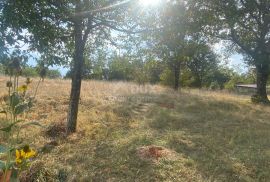 RIJEKA, ČAVLE - samostojeća kuća + 4.000 m2 građevinskog zemljišta okućnice! PRILIKA!, Čavle, Casa