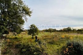 Istra, Vodnjan, građevinsko zemljište 2918m2 na odličnoj lokaciji s pogledom na more, Vodnjan, Terra