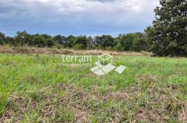 Istra, Medulin građevinsko zemljište 5171m2, poslovno stambene namjene  #prodaja, Medulin, Land