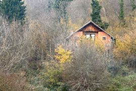 GORSKI KOTAR, VRBOVSKO - Kuća na osami s velikim potencijalom, Vrbovsko, Ev