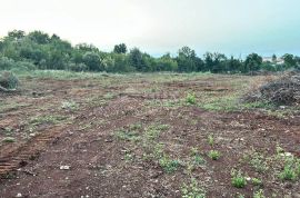 ISTRA, ŠIŠAN - Građevinsko zemljište industrijsko poslovne namjene 4300 m2, Ližnjan, أرض