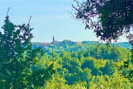 HUM - ISTRA, kuća za obnovu sa zemljištem, Buzet, Terreno