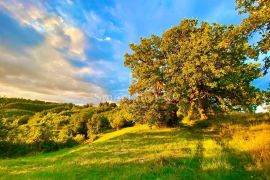 HUM - ISTRA, građevinsko zemljište sa starinama za obnovu, Buzet, Terreno