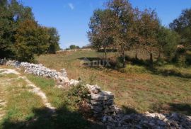 ISTRA, BALE - Građevinsko zemljište na pogodnoj lokaciji, Bale, Земля