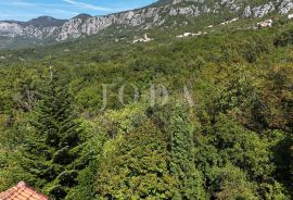 Crikvenica, lijepa kuća na mirnoj lokaciji, Crikvenica, Haus