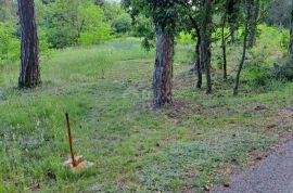 ISTRA, OKOLICA LABINA - Građevinsko zemljište u mirnom okruženju, Sveta Nedelja, Terrain