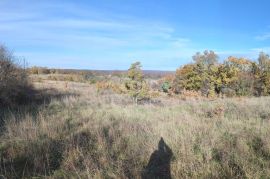 ISTRA, KRNICA - Građevinsko zemljište s panoramskim pogledom na zelenilo, Marčana, Terrain