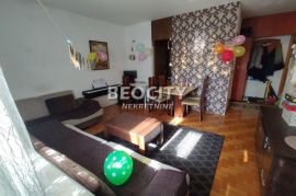 Novi Sad, Sajam, , 2.5, 62m2 Pet friendly, Novi Sad - grad, شقة