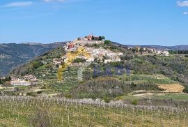 Zemljište sa prekrasnim pogledom na Motovun, Karojba, Zemljište