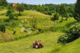 Građevinsko zemljište kod Rastoka, Slunj, Slunj, Terrain