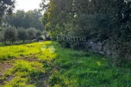 BRIBIR - LIJEPI GRAĐEVINSKI TEREN, Vinodolska Općina, Γη