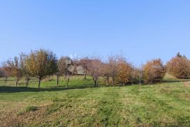 GORSKI KOTAR - KUĆA ZA OBITELJSKI ŽIVOT ILI ODMOR, Ravna Gora, Kuća