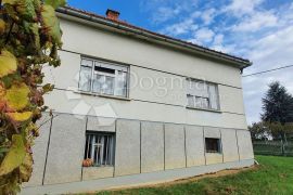 KUĆA S OGROMNIM ZEMLJIŠTEM OD 20 000,0m2, Štrigova, House